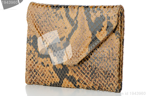 Image of Snake skin leather wallet 