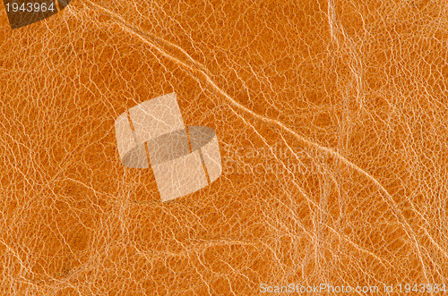 Image of Brown leather 