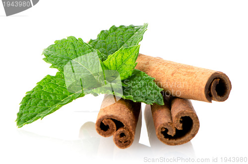 Image of Cinnamon sticks and mint leaves