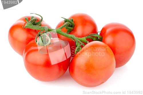Image of Red ripe tomato