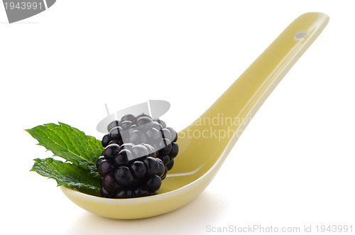 Image of Blackberries in ceramic spoon