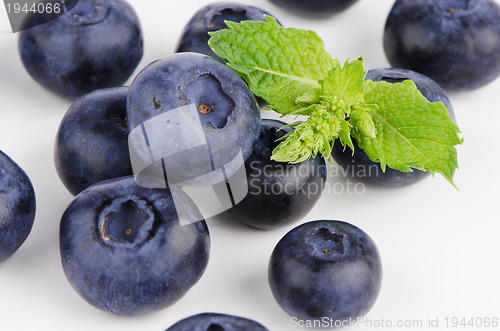 Image of Ripe blueberry