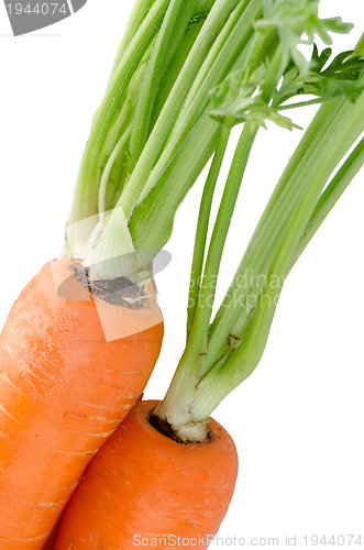 Image of Fresh carrots