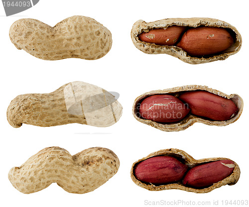 Image of Peanuts