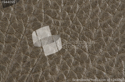 Image of Leather background 