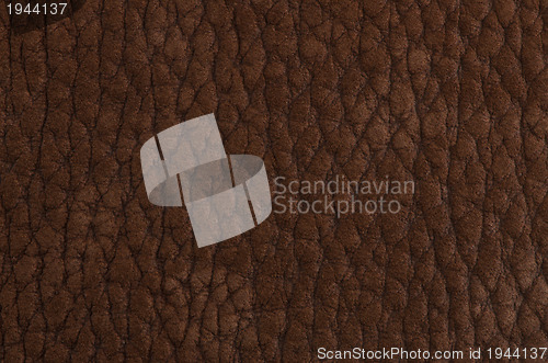 Image of Natural brown leather