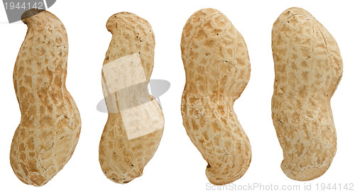 Image of Peanuts