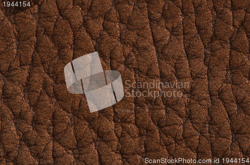 Image of Natural brown leather