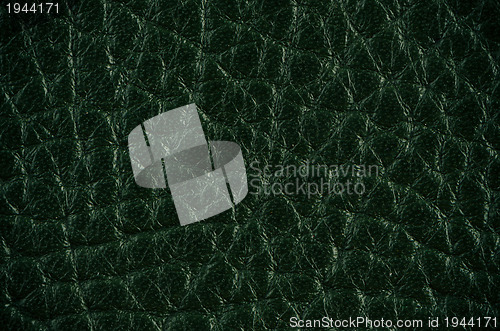 Image of Green leather 