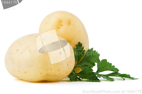 Image of New potato and green parsley