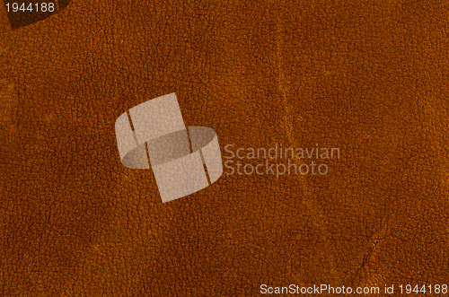 Image of Brown leather 