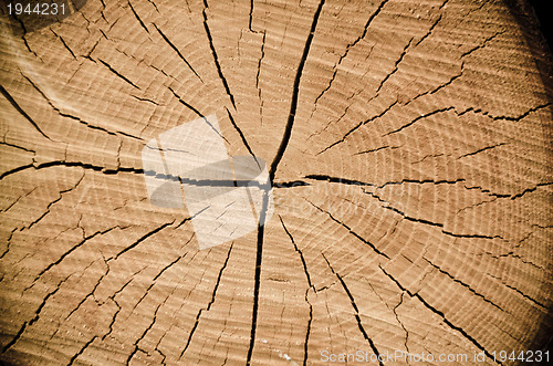 Image of Crack wood spiral 