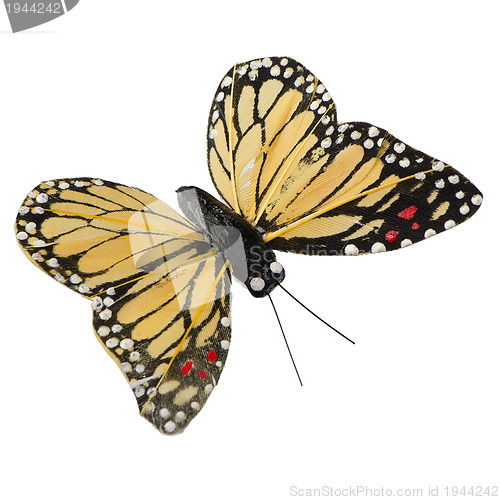 Image of Artificial butterfly
