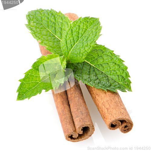 Image of Cinnamon sticks and mint leaves