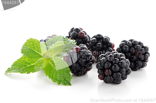 Image of fresh berry blackberry