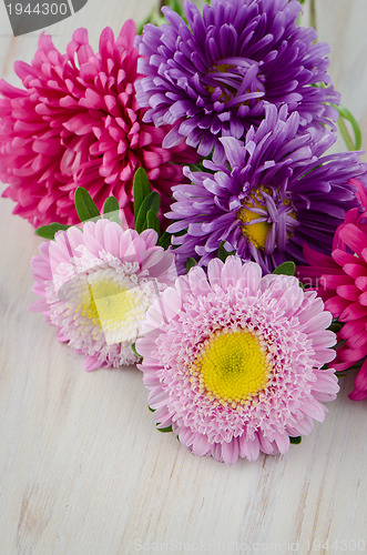 Image of Homegrown fall garden flowers 