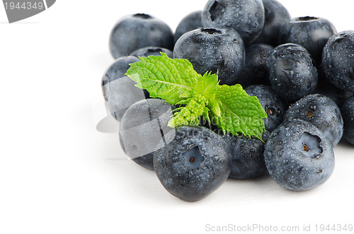 Image of Ripe blueberry