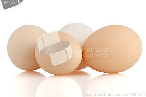 Image of Four eggs on white 