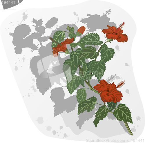 Image of Floral Background -illustration