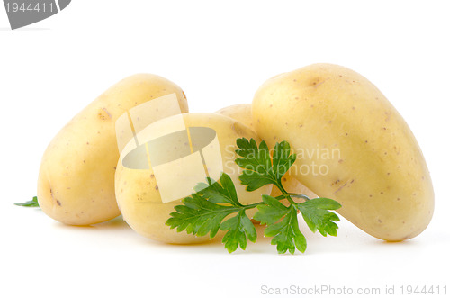 Image of New potatoes and green parsley