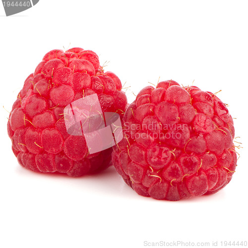 Image of Ripe red raspberry