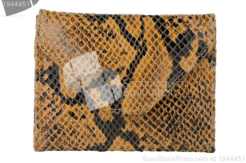 Image of Snake skin leather wallet 