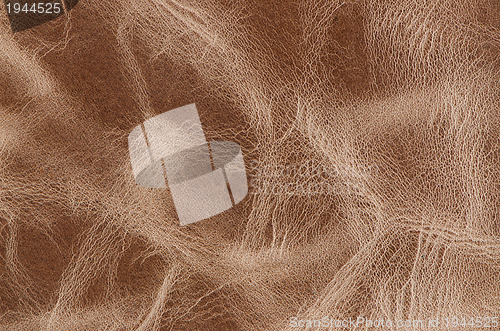 Image of Brown old weathered leather