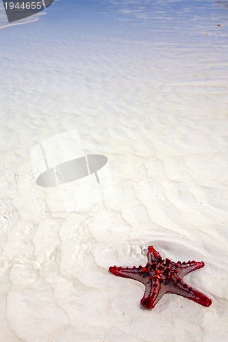 Image of Zanzibar beach