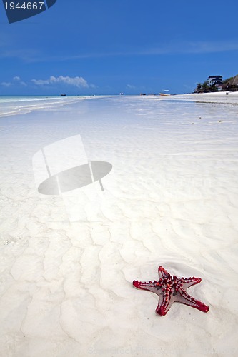 Image of Zanzibar beach