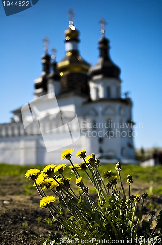 Image of Dandelion and church