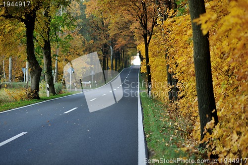 Image of country road