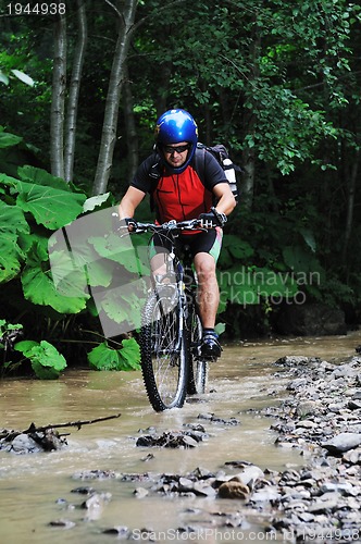 Image of mountain bike