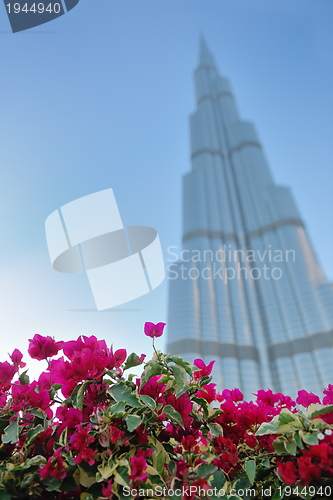 Image of dubai burj khalifa skyscraper