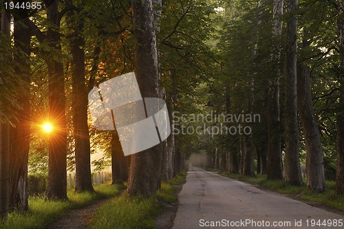 Image of sunrise in beautiful alley