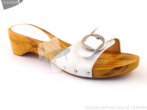 Image of woman shoe isolated