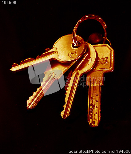 Image of House keys