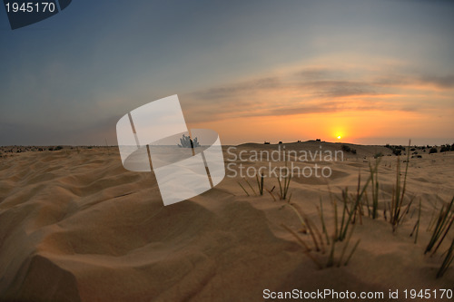 Image of beautiful sunset in desert