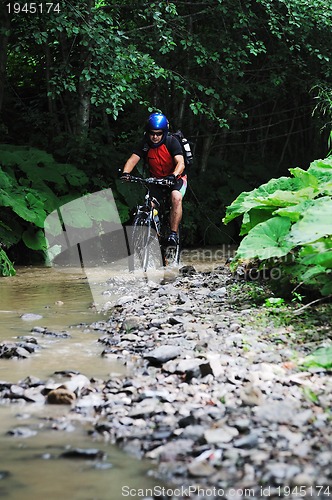 Image of mountain bike