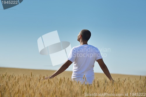 Image of man in wheat field
