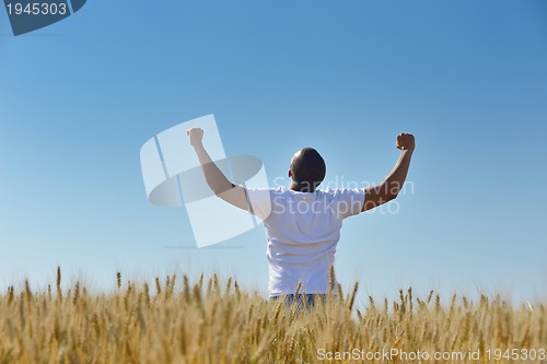 Image of man in wheat field