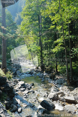 Image of fresh water