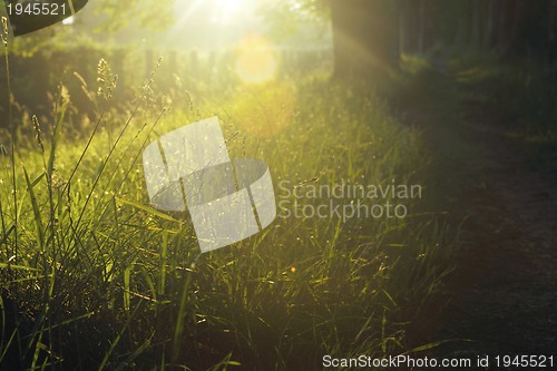 Image of sunrise in beautiful alley