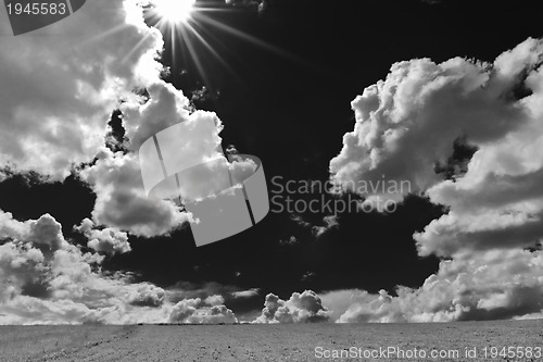 Image of grass and sky nature backgrond