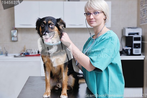 Image of veterinarian and assistant in a small animal clinic