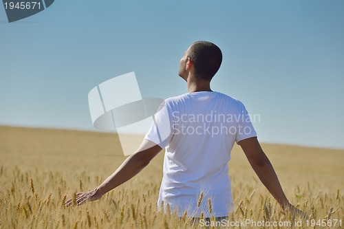 Image of man in wheat field