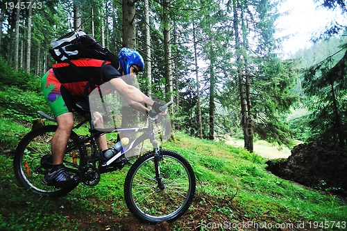 Image of mountain bike