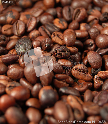 Image of Coffee beans 05