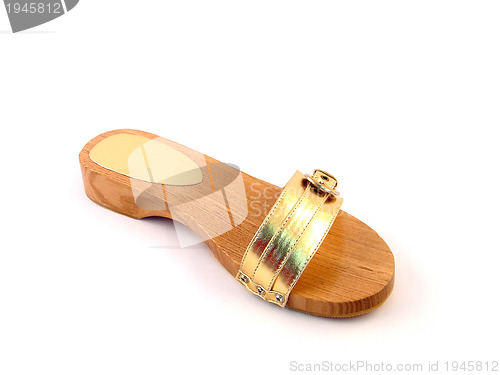 Image of woman shoe isolated