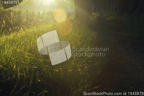 Image of sunrise in beautiful alley