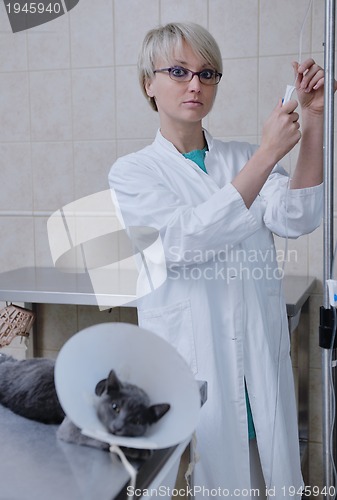 Image of Female veterinary